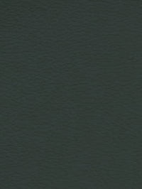 Premium Auto & Contract Vinyl - Palma Vinyl