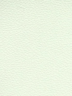 WHITE Premium Auto & Contract Vinyl - Palma Vinyl