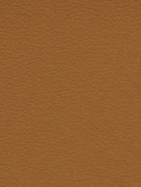 COGNAC Premium Auto & Contract Vinyl - Palma Vinyl