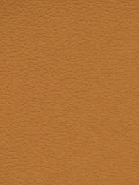 MARMALADE Premium Auto & Contract Vinyl - Palma Vinyl