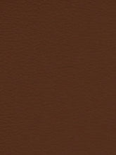 Premium Auto & Contract Vinyl - Palma Vinyl