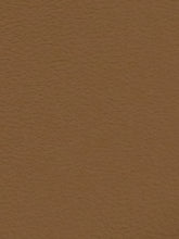 Premium Auto & Contract Vinyl - Palma Vinyl