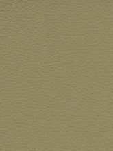 Premium Auto & Contract Vinyl - Palma Vinyl