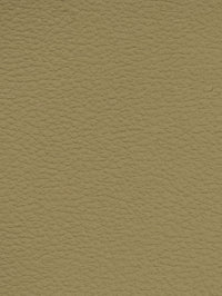 PRAIRIE Premium Auto & Contract Vinyl - Palma Vinyl