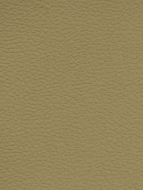 PRAIRIE Premium Auto & Contract Vinyl - Palma Vinyl