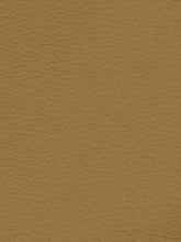 Premium Auto & Contract Vinyl - Palma Vinyl