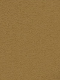 CARAMEL Premium Auto & Contract Vinyl - Palma Vinyl