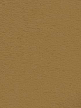 CARAMEL Premium Auto & Contract Vinyl - Palma Vinyl