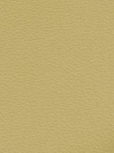Premium Auto & Contract Vinyl - Palma Vinyl