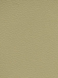 EARTH Premium Auto & Contract Vinyl - Palma Vinyl