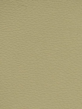 EARTH Premium Auto & Contract Vinyl - Palma Vinyl