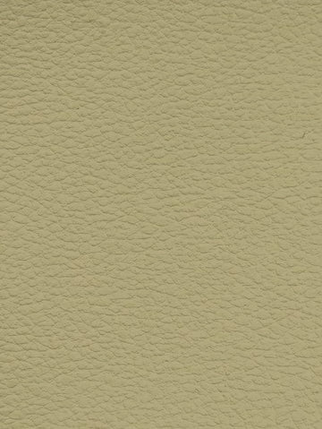 EARTH Premium Auto & Contract Vinyl - Palma Vinyl