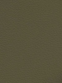 CASHMERE Premium Auto & Contract Vinyl - Palma Vinyl