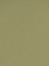 Premium Auto & Contract Vinyl - Palma Vinyl