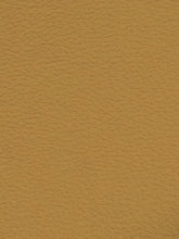 Premium Auto & Contract Vinyl - Palma Vinyl