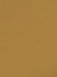 SADDLE Premium Auto & Contract Vinyl - Palma Vinyl