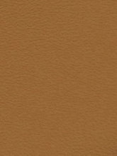 Premium Auto & Contract Vinyl - Palma Vinyl