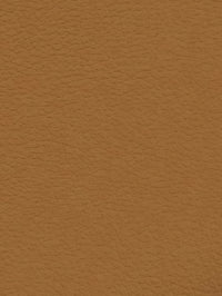 GINGER Premium Auto & Contract Vinyl - Palma Vinyl