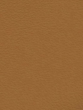 GINGER Premium Auto & Contract Vinyl - Palma Vinyl