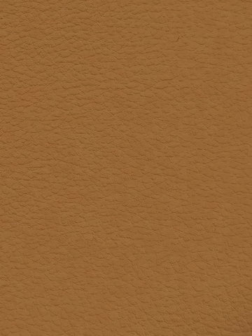 GINGER Premium Auto & Contract Vinyl - Palma Vinyl