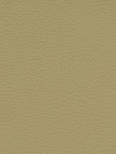 Premium Auto & Contract Vinyl - Palma Vinyl