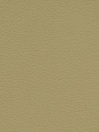 TAUPE Premium Auto & Contract Vinyl - Palma Vinyl
