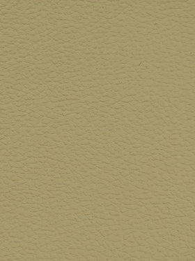 TAUPE Premium Auto & Contract Vinyl - Palma Vinyl