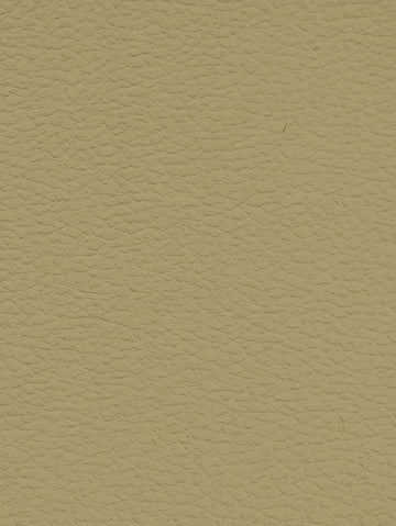 TAUPE Premium Auto & Contract Vinyl - Palma Vinyl