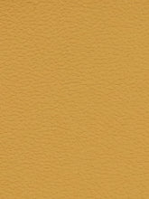 Premium Auto & Contract Vinyl - Palma Vinyl