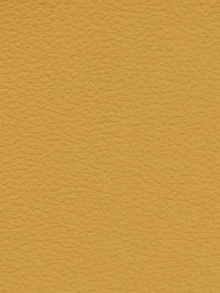 BISCUIT Premium Auto & Contract Vinyl - Palma Vinyl