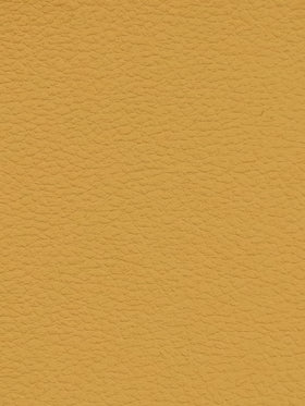 BISCUIT Premium Auto & Contract Vinyl - Palma Vinyl