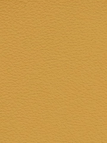 BISCUIT Premium Auto & Contract Vinyl - Palma Vinyl