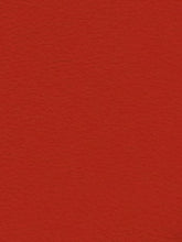 Premium Auto & Contract Vinyl - Palma Vinyl