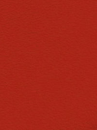 RED Premium Auto & Contract Vinyl - Palma Vinyl