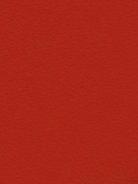 RED Premium Auto & Contract Vinyl - Palma Vinyl