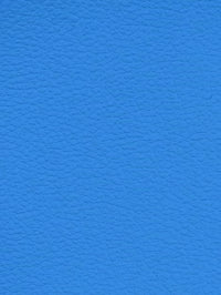DODGER BLUE Premium Auto & Contract Vinyl - Palma Vinyl