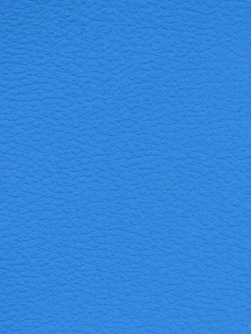 DODGER BLUE Premium Auto & Contract Vinyl - Palma Vinyl