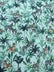 Printed Spandex Fabric Sold By The Yard