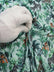 Printed Spandex Fabric Sold By The Yard