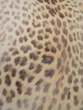 Printed Spandex Fabric – Ancient Leopard