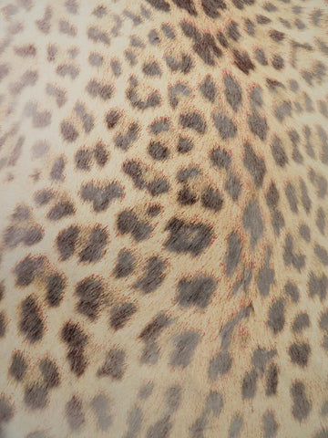 Printed Spandex Fabric – Ancient Leopard