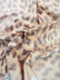Printed Spandex Fabric Sold By The Yard