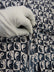 Printed Spandex Fabric Sold By The Yard