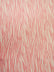 Printed Spandex Fabric – Zebra Pink