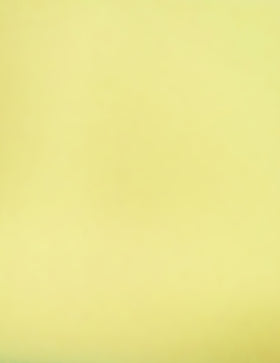 BANANA Heat Transfer Apparel Flocking Suede PVC Backed Fabric / Sold by the Yard