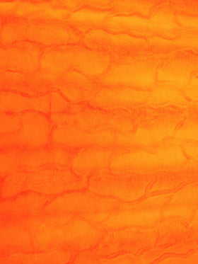 Bunny Rabbit Ultra Soft Snuggle Minky / Orange - 0