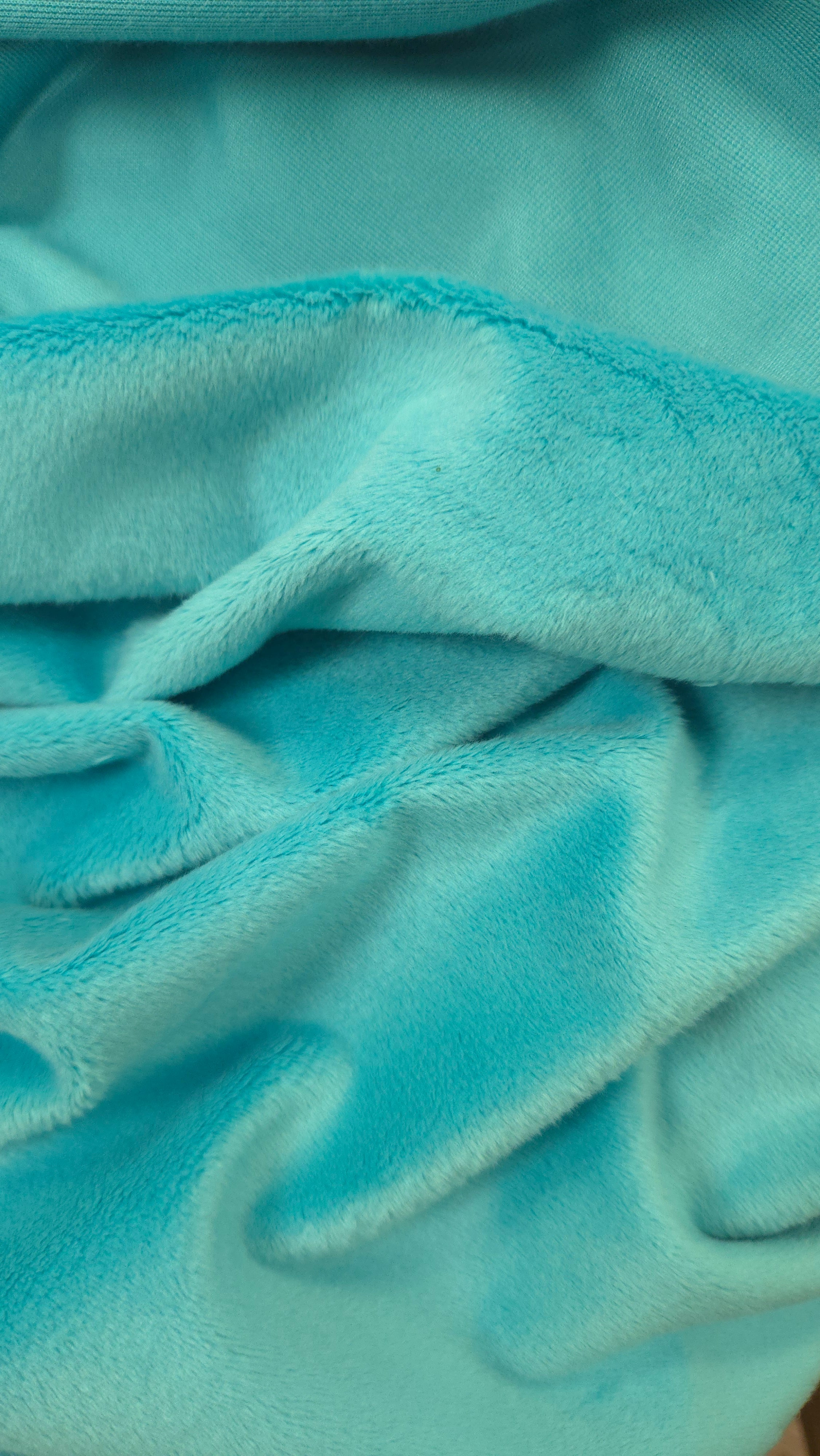 Belize Minky Solid Baby Soft Fabric