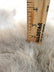 Solid Winter Beige Faux Fur - 1.5 Inch Pile - 73" Width - Limited Faux Fur