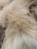Solid Winter Beige Faux Fur - 1.5 Inch Pile - 73" Width - Limited Faux Fur