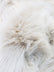 Solid Frosted Tan With Off-White Tips Faux Fur - 1.5 Inch Pile Limited Faux Fur